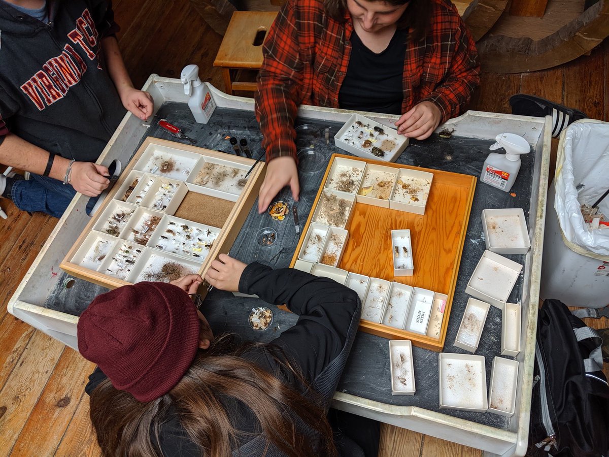 Virginia Tech Natural History Club tweet media