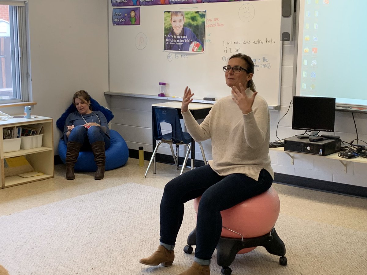 Presenting on a PA DAY about self reg to the staff at PCT with <a href="/fajita77/">Anita Halfpenny</a>