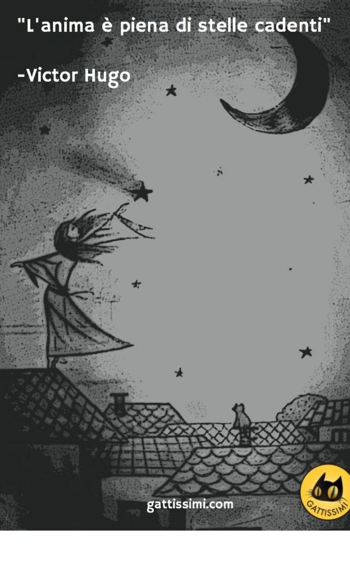 Ivan Babitcheff (@babitcheff) on Twitter photo 