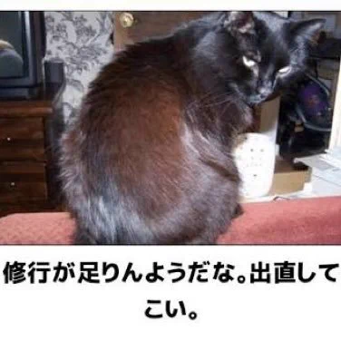 @kazupon65 足らぬ足らぬは修行が足らぬ。
イタリアでピザ職人がオペラの衣装でピザ焼くようなもんだろ。
白衣はそれなりの理由ってもんがあるのですよ。 