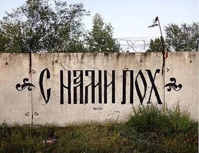 А могли бы и рояль подарить... Реакция ФОТОжаберов на неоднозначный подарок Президенту в Эстонии - Цензор.НЕТ 4015