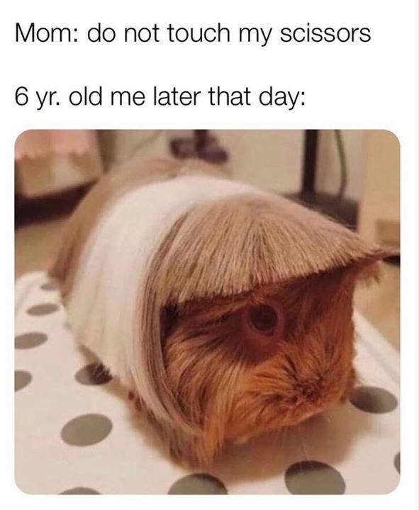 Caught my son cutting his own hair this morning then saw this....