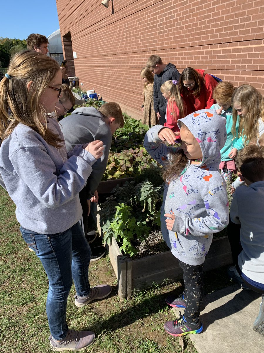arwheeler21's tweet photo. The horticulture class partnership is always exciting &amp; impactful with all of my students. My kids volunteered to skip recess for this informative tour! Thank you @cgarrison5526 for all you do. We also used this opportunity to learn to write thank you letters https://t.co/kzEEcLULjR