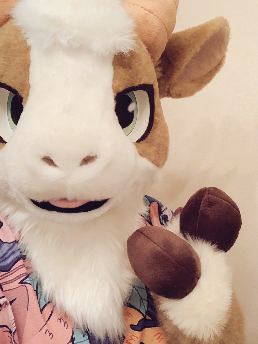 ⭐️kohaku⭐️ Kohaku - Variety - All Japan Nishikigoi Promotion Association