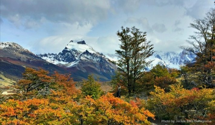 harrisaffiliate's tweet photo. BRAND YOURSELF TO #SUCCESS!
"You were designed for accomplishment, engineered for success, and endowed with the seeds of greatness." - Zig Ziglar

FREE Personal #Branding Courses
Scale Your Online Business...
@ https://t.co/ZuOENwEZSX

..view of #LagunaTorre #ElChalten #Argentina https://t.co/4n8fmIxaxP