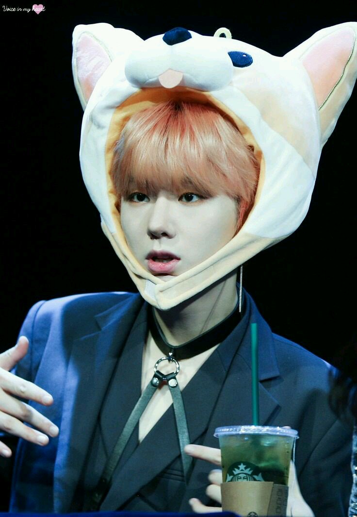 BteAnai's tweet photo. Monsta x cute💖.
#MakeHistoryForWonho
#몬스타엑스_아프지말자 
@OfficialMonstaX https://t.co/n90ezHo8UM