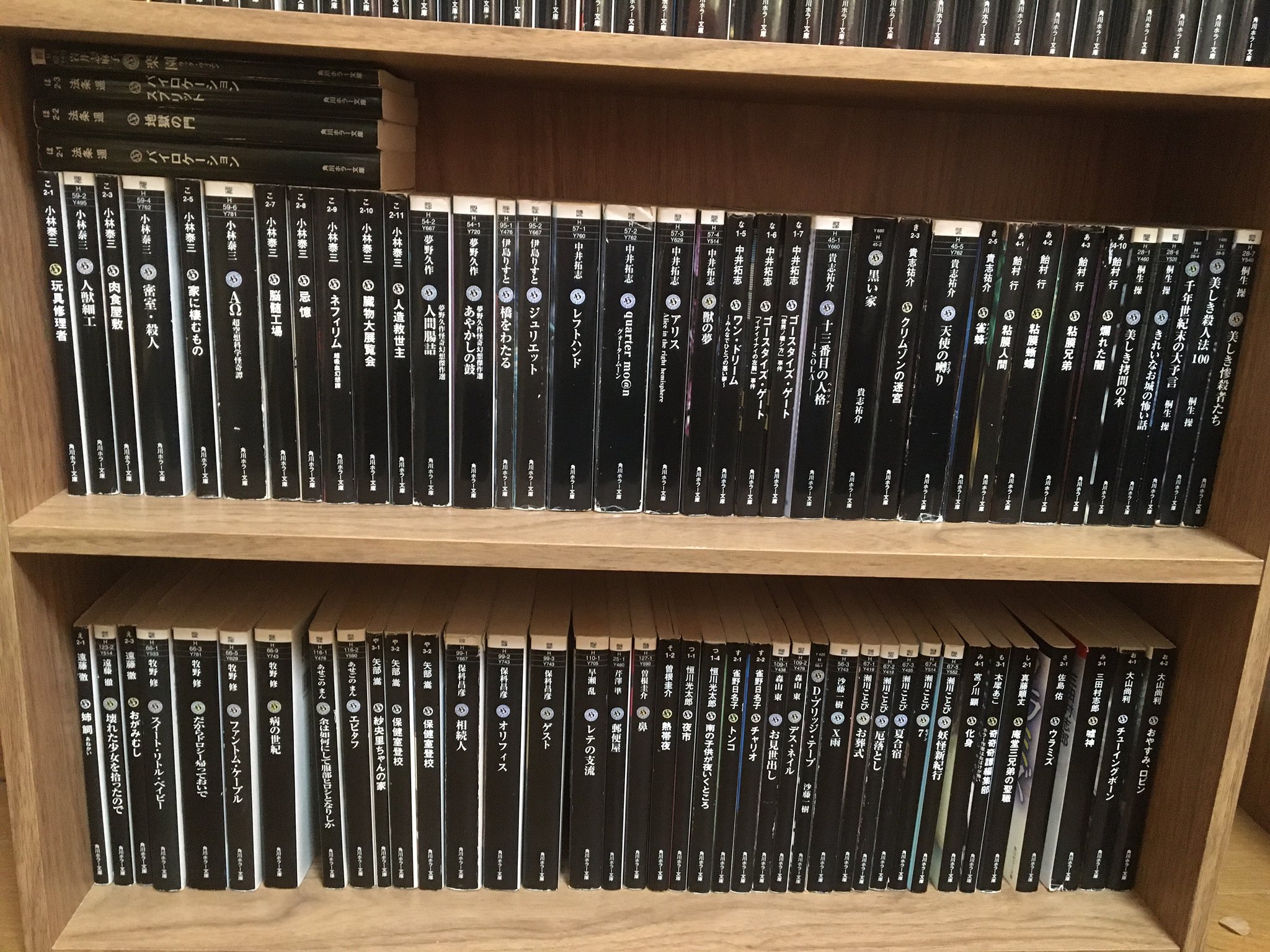 つかっちゃん読書垢 純文学ユーチューバー Ar Twitter 角川ホラー文庫だけでひとつ本棚を使っています 漆黒の文庫本レーベルはここくらいしかないんじゃなかろうか 日本ホラー小説大賞はとても面白い賞でした T Co Dtt7jhnzrf Twitter