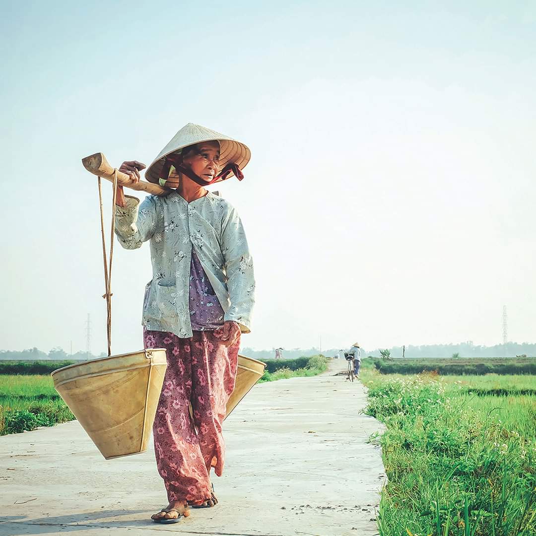 CheapiFlyFares's tweet image. A land of staggering natural beauty and cultural complexities, of dynamic megacities and hill-tribe villages, Vietnam is both exotic and compelling.

Fly to vietnam from only $608* 👉secl-au-checkout.azurewebsites.net

We searched 12 - 26 March 2020. Advertised airfare's with @Qantas.