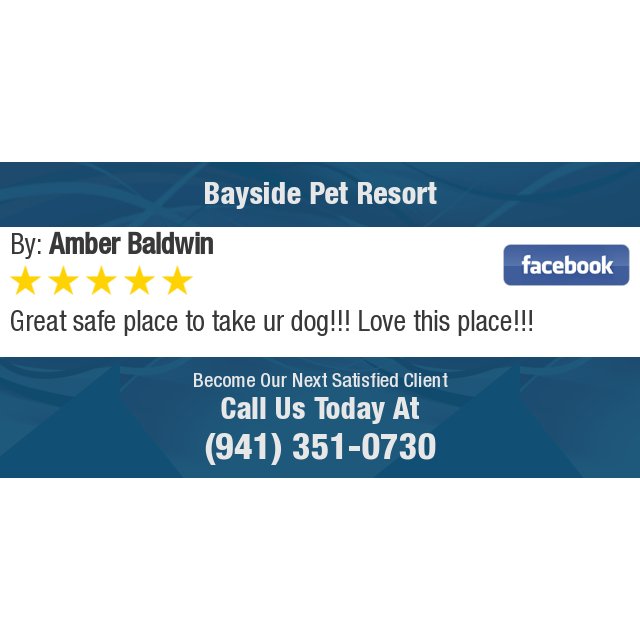Bayside Pet Resort (BaysidePet) Twitter