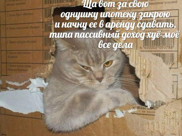 EIqmuOKXsAYFYNX?format=png&name=small