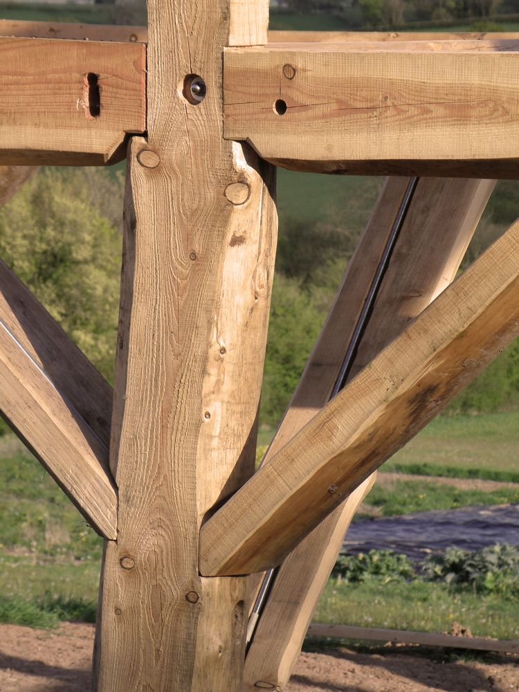 An intermediary between round pole timber and cut traditional square timber is the whole limb timber framing, using as much of the trees, crooks and bends and all, for maximum efficiency and strength. It can be be combined with almost any other material.