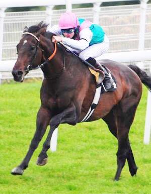 <a href="/RacingGuru/">Racing Guru</a> <a href="/SnaithRacing/">Snaith Racing</a> Congrats <a href="/nancyhossack/">.</a> Really happy to see this son of <a href="/klawervleiGrant/">Grant Knowles</a>-based #SAStarSire <a href="/TwiceOverGB/">Twice Over (GB)</a> enjoying the 2000m trip - that’s what his progeny should be aiming at