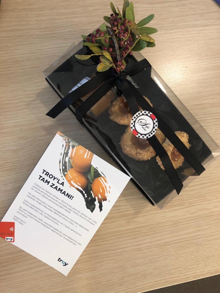 Teşekkürler <a href="/TroyOdeme/">TROY</a>  #sağaltköşe