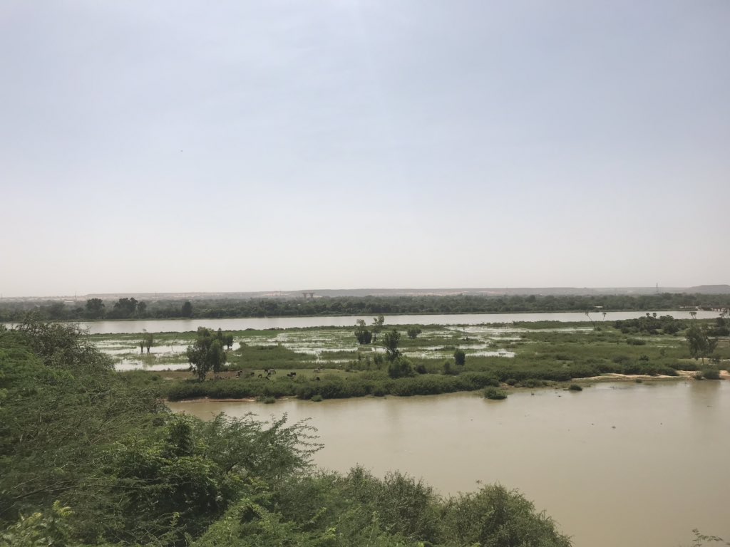 UNUEHS's tweet photo. In #Niamey, #Niger🇳🇪 #climatechange is threatening #foodsecurity. #Floods and #droughts put the city’s food supply in constant risk. @UNUEHS and #RARSUS partners are working to tackle this problem. https://t.co/KgmvyMF3XX