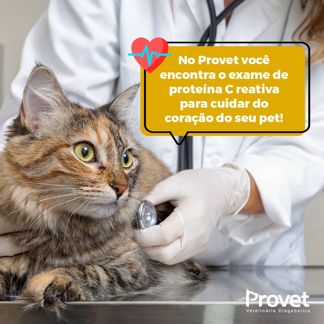 provetdiag's tweet photo. Esse exame mede a dosagem de proteína C reativa (PCR), serve para investigar o estado inflamatório do animal e avaliar o risco de doenças cardiovasculares. Agendamentos de exames disponíveis na nossa central de atendimento: (11) 3579-1427.
#SaudeAnimal #Provet #PetVet https://t.co/whpsgXSpHB