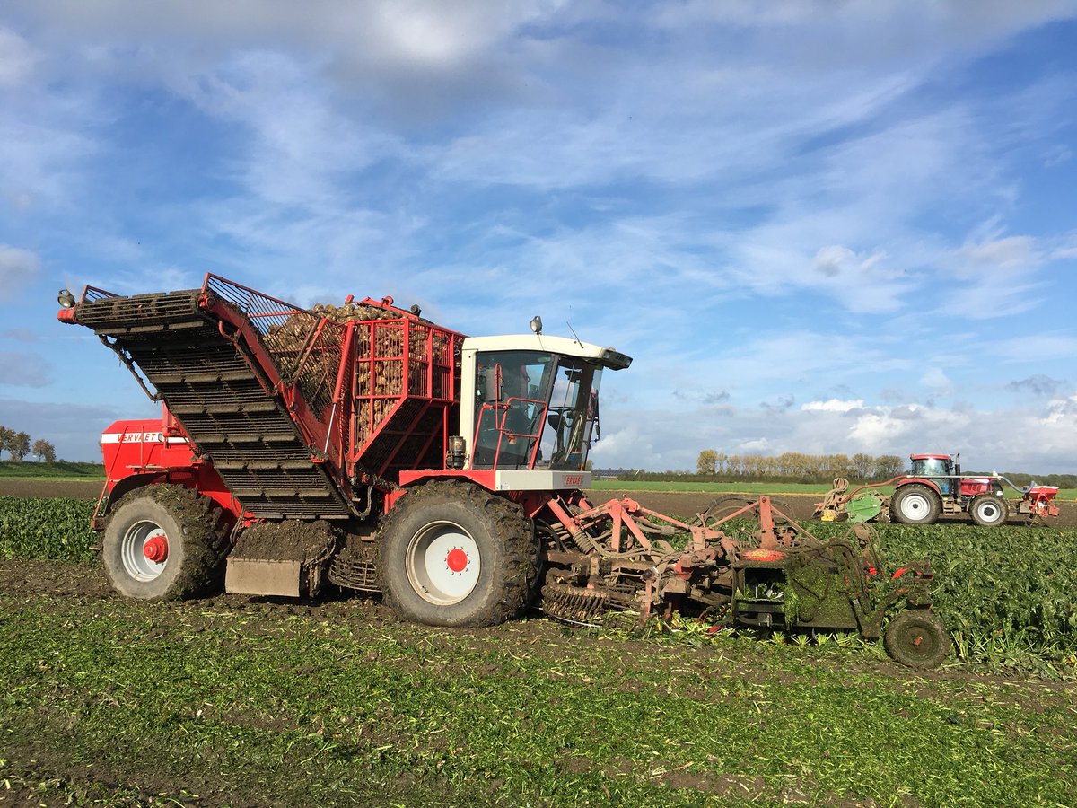 Heerlijk weer om bieten te rooien en tarwe voor #oogst2020 te zaaien op #KleinTiengemeten