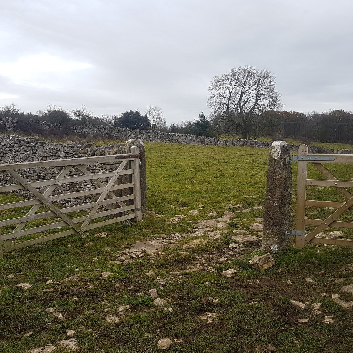 The Horned Beef Co. tweet media