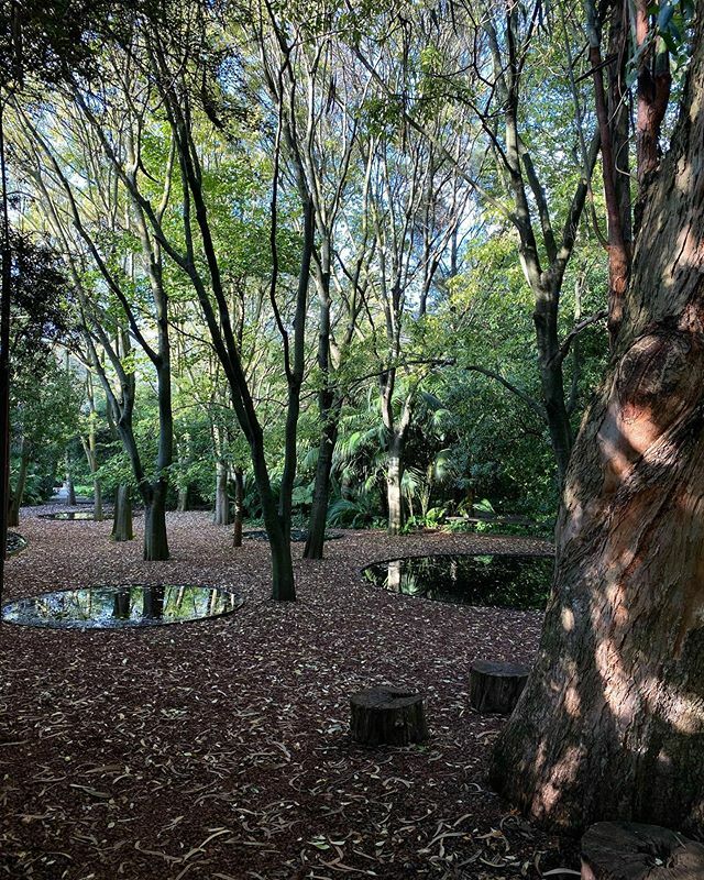 mwojtkiewicz's tweet photo. “The park was designed by the landscape architects Gonçalo Ribeiro Telles and António Viana Barreiro in close collaboration with Alberto Pessoa, Pedro Cid and Ruy Athouguia who were architects of the buildings of the Calouste Gulbenkian Foundation erecte… https://t.co/bza2emABMa https://t.co/R3ed5HQA3V