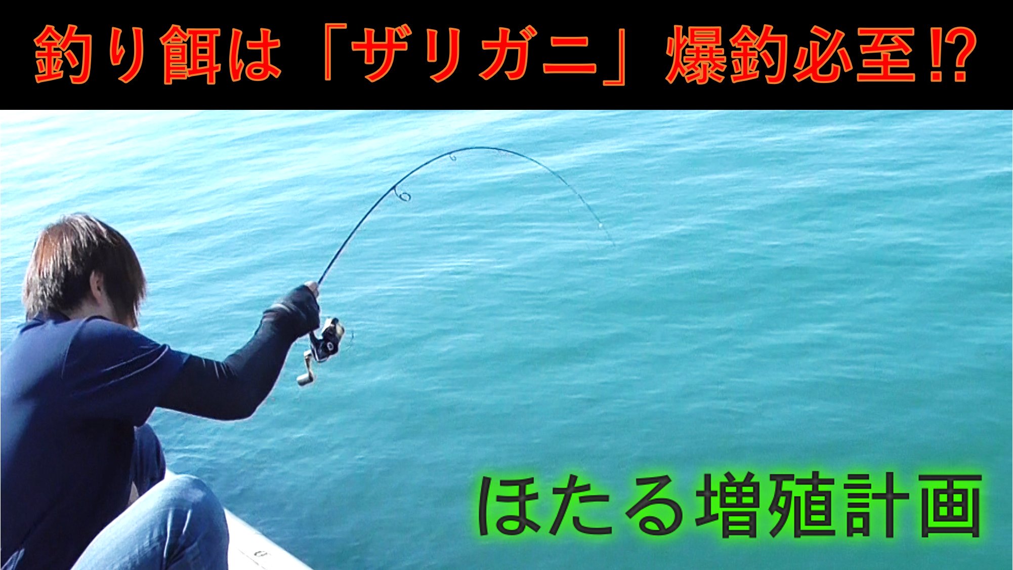 マチャ ツリアメ ツイ休止中 外来生物 アメリカザリガニ の有効利用について 食 を推してはいるが やはり衛生的でない場所に生息するザリガニ達もいて 食に向かない環境もある そんなザリガニ達は釣り餌に 魚も好きだし エサ代も0円 マチャ ツリアメ ツイ休止中 外来生物 アメリカザリガニ の有効利用について 食 を推してはいるが やはり衛生的でない場所に生息するザリガニ達もいて 食に向かない環境もある そんなザリガニ達は釣り餌に 魚も好きだし エサ代も0円