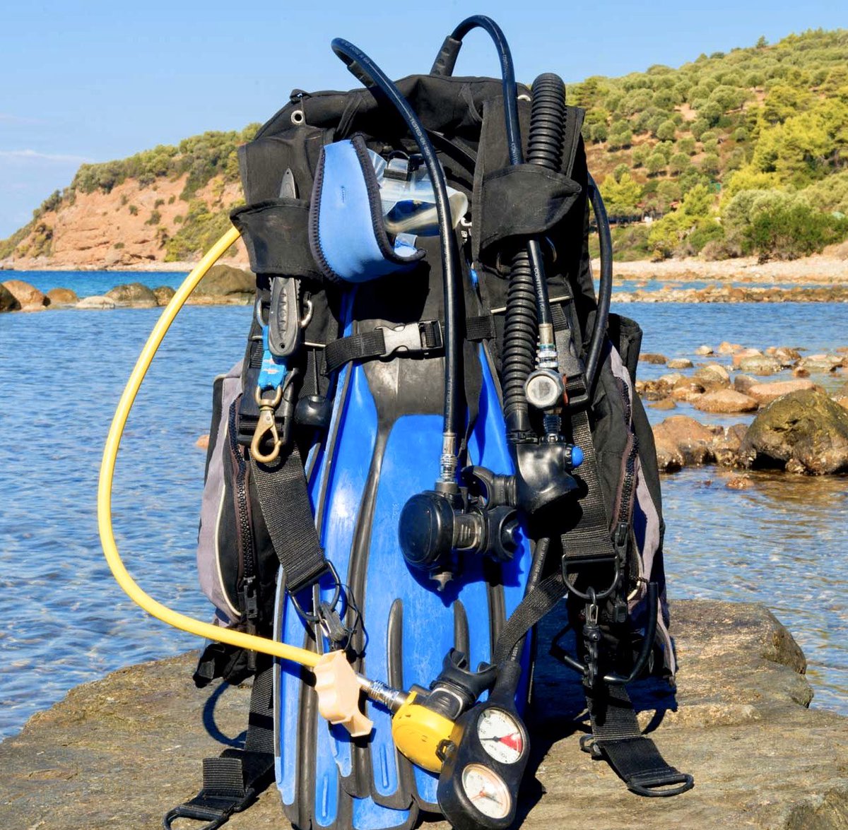 aquaticventures's tweet photo. How many of you out there need to revive your relationship with your dive gear? Has your surface interval been way too long? #aquaticventures #scuba #scubadiving #dive #learnscuba #learndiving #learnscubadiving #learntoscuba #learntodive #saltlife #fortlauderdale https://t.co/aTLb5PMQp4