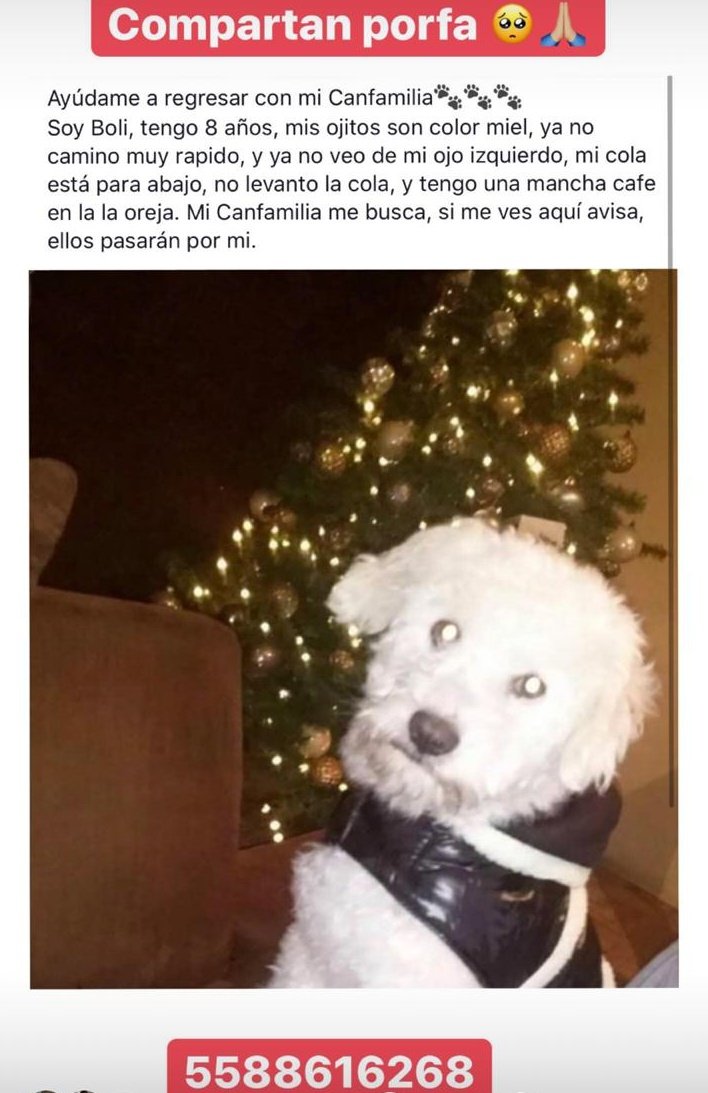 Osiris Gonzalez tweet media