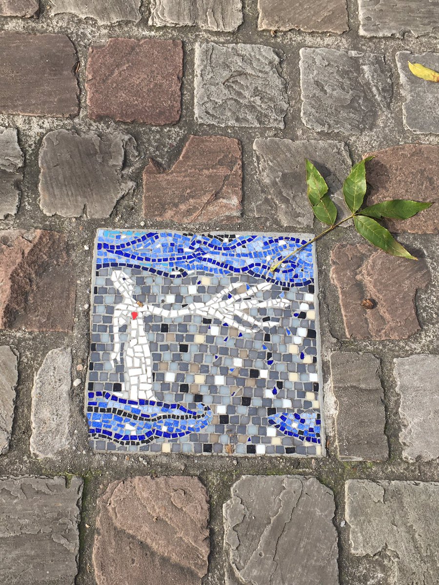 AnaCoelhoBXL's tweet photo. Sous les pavés de #Bruxelles la discrète et poétique beauté des mosaïques
#StreetArt #StreetsOfBrussels
#Etterbeek
@welovebrussels https://t.co/tuiUbQfYS3