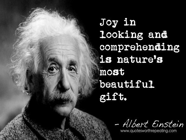 earthgreatagain's tweet photo. @ramblingsloa #OurResponsibility #ProtectEarth 
#FridaysForFuture #StandWithOurChildren

#LoveEarth ❤️🌻🌍✍️🙏 #LoveAll ➡️#EarthGreatAgain https://t.co/RBhw8gxQMO