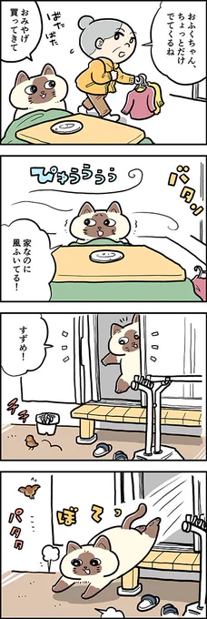 すずめ! 待って～?

『猫のおふくちゃん』の過去のお話「そとの世界」がカラーになりました。
毎週水曜と土曜に連載中♪

⇒( 

#猫のおふくちゃん 