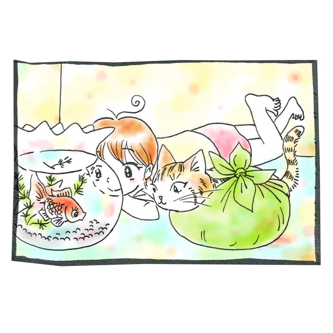 ふろしき王子 横山功 Furoshikiprince Twitter