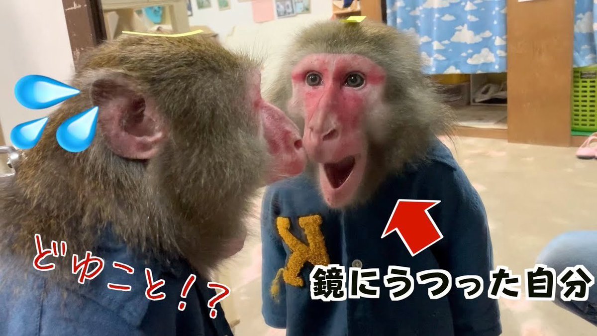 ☆動画公開☆ 『あれ！？どちら様！？』となるか…『俺じゃん！』となる