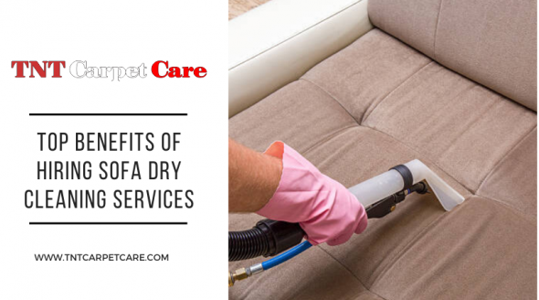 CareTnt's tweet photo. Professional Sofa Cleaning Service in El Cajon - https://t.co/BFlBomIfU2
#sofa #sofacleaning #sofacleaners #sofacleaningservice #bestsofacleaningnearme #professionalsofacleaning #sofacleaninginelcajon #elcajon https://t.co/vCOQzenmOK