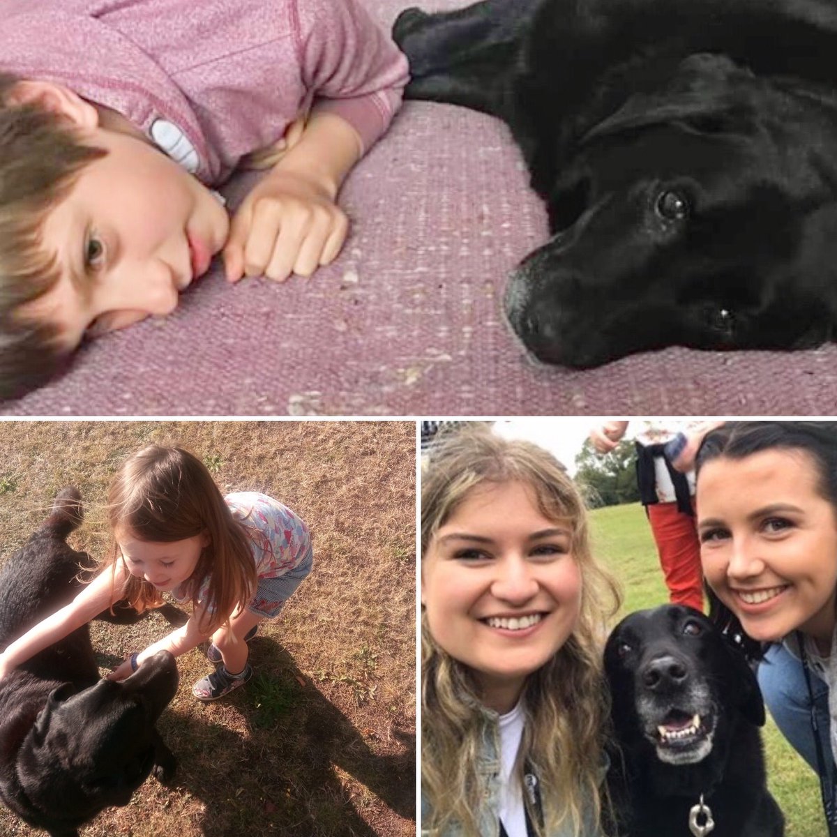 Tomandtoto's tweet photo. @clarebalding Hi! We are pet-care service company in Norwich, but as well as walking dogs for owners when they are unable to, some of our owners also share their most people-friendly dogs to join walks across a range of organisations to improve health and wellbeing.... https://t.co/kLirkSVNu2