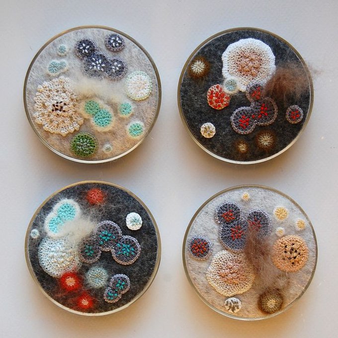 womensart1's tweet photo. Elin Thomas, UK textile artist who uses embroidery/crochet to create unique work resembling petri dishes and bacteria spores #womensart https://t.co/pym1DebqcA