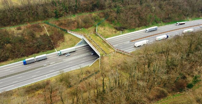 HelenePujolle's tweet photo. Un #écopont va bientôt voir le jour au dessus de l'#A71. Il permet aux animaux de passer en toute #sécurité au dessus de l'autoroute. 🦌 > https://t.co/S6PO2VWYl5 https://t.co/xZVG9DP3hK