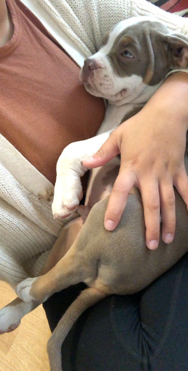 TayTayDizzlem's tweet photo. Cuteness overload: Denton https://t.co/fRPWa1z4Fd