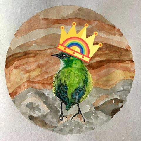 This competition really took flight, but only one person can rule the nest, the winner of the comp is... Kellie Eathorne with this gorgeous artwork! Congrats, and thank you to everyone who entered! #birdoftheyear #teamrockwren #competition #winner