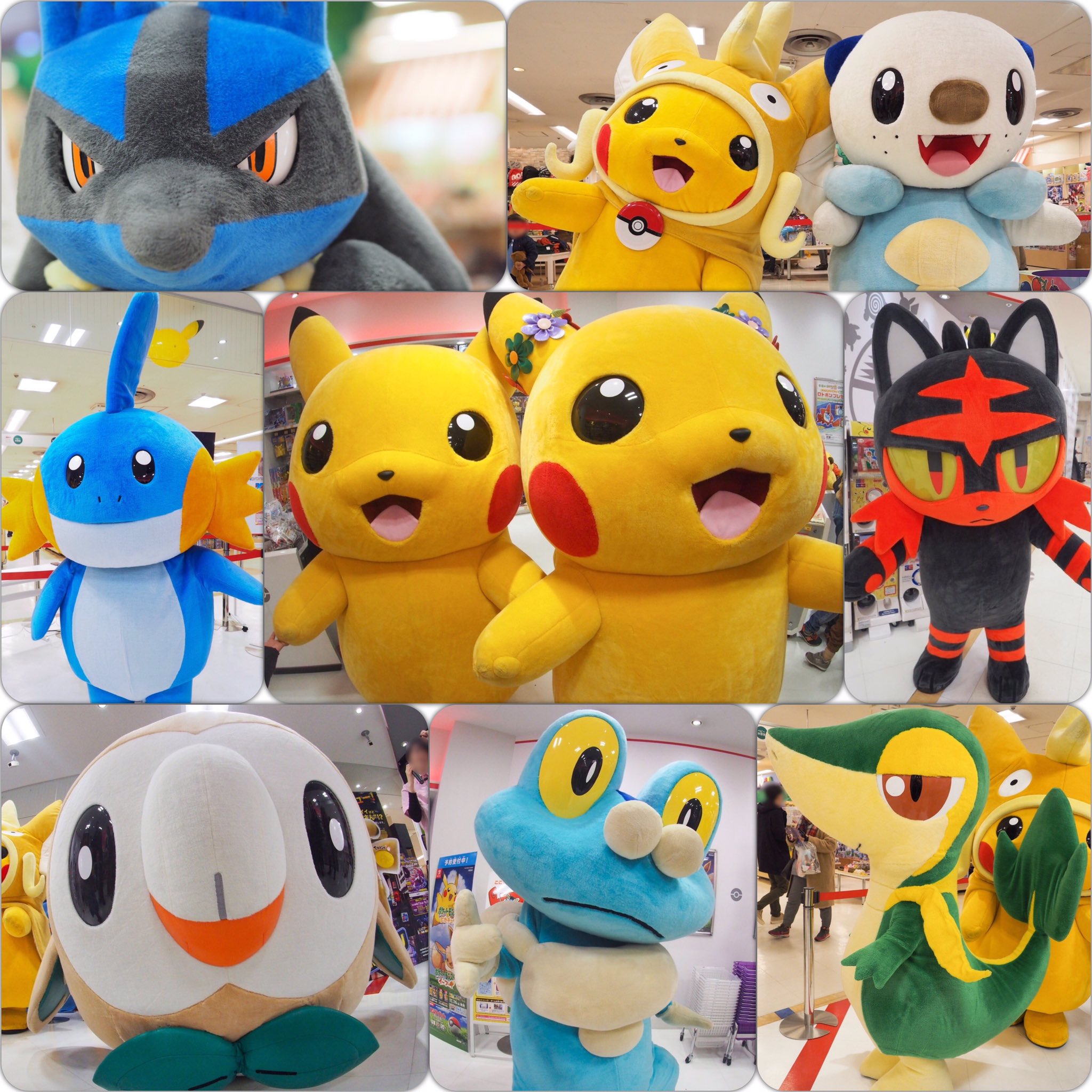 ポケモンセンターヒロシマの日 Twitter Search Twitter