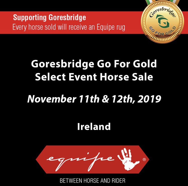 Ros Canter (@cantereventing) on Twitter photo Looking through the catalogue, what a exciting bunch of horses! @ZebraProducts <a href="/SelleriaEquipe/">Selleria Equipe</a> <a href="/Goresbridgesale/">Goresbridge Sales</a> Looking through the catalogue, what a exciting bunch of horses! @ZebraProducts <a href="/SelleriaEquipe/">Selleria Equipe</a> <a href="/Goresbridgesale/">Goresbridge Sales</a>