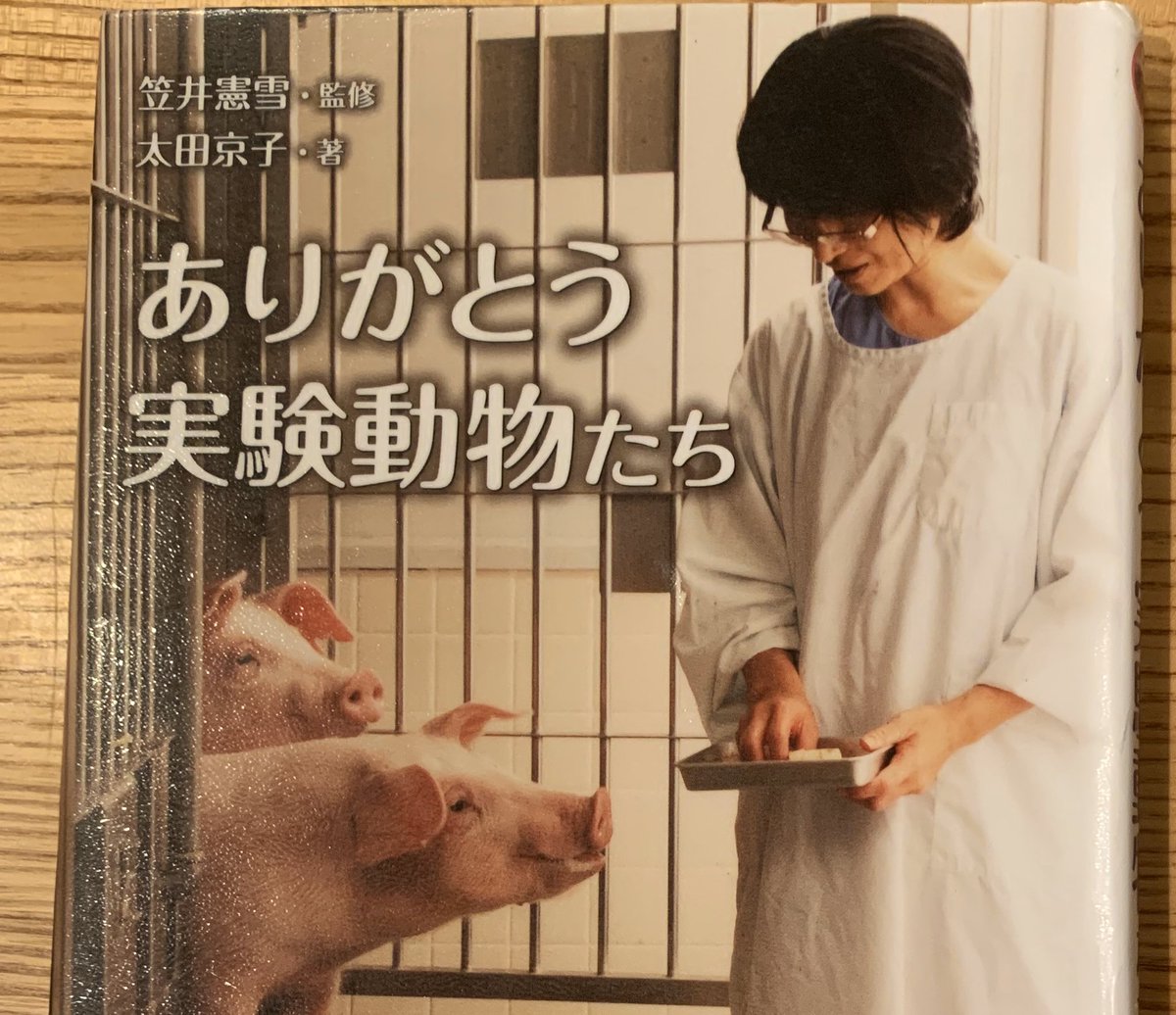 実験動物 実験動物