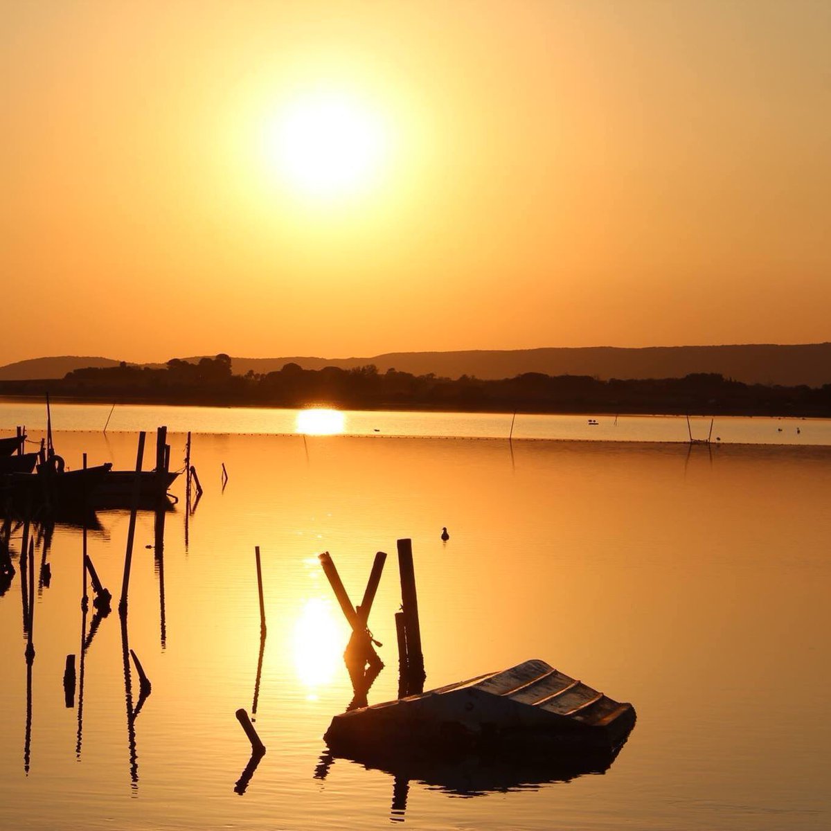 Wannapay_France's tweet photo. #nofilter souvenir d’un coucher de soleil mémorable en camargue 😍 #occitanie #grauduroi #montpellier #portcamargue #legrau #letsgrau #sunset #beach #plage #gard #gardtourisme #occitanietourisme #herault #héraulttourisme #endlesssummer https://t.co/av7Da1oH6u