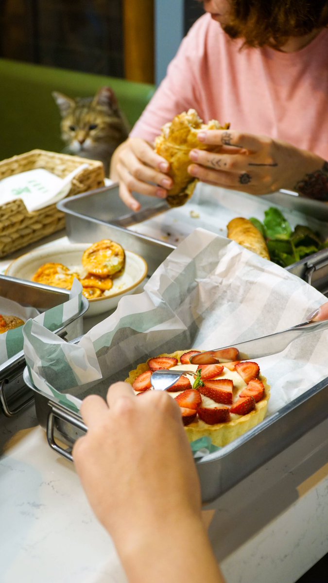 Günün her saatinde farklı lezzetler Pazar’da.🍴😋 Minik dostlarımız için de mamamız hep hazır. 
🐨