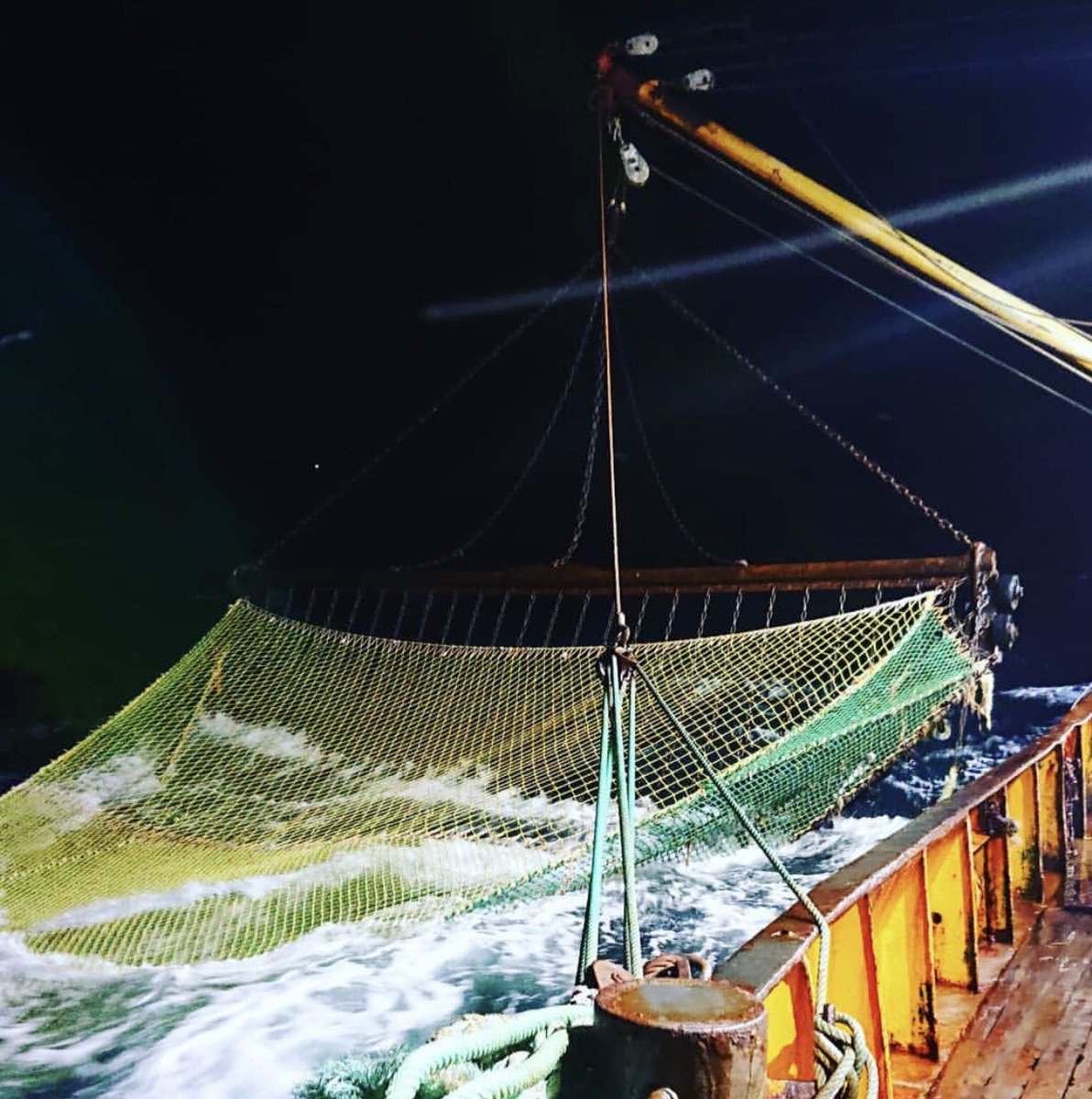 Bm800_Hake's tweet photo. Good morning #BeamTrawling #English #Channel #MixedFish @Cornishfpo boats #Fishing #Eatmorefish #Cornish #Cornwall https://t.co/pGGPcOFm36