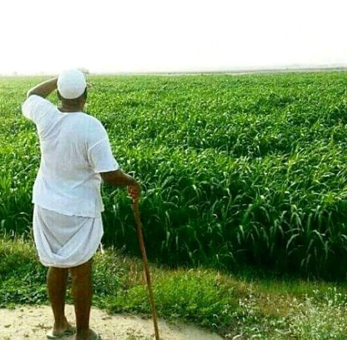 الماء والخضره وشايب الحسن يامحلا متهايم