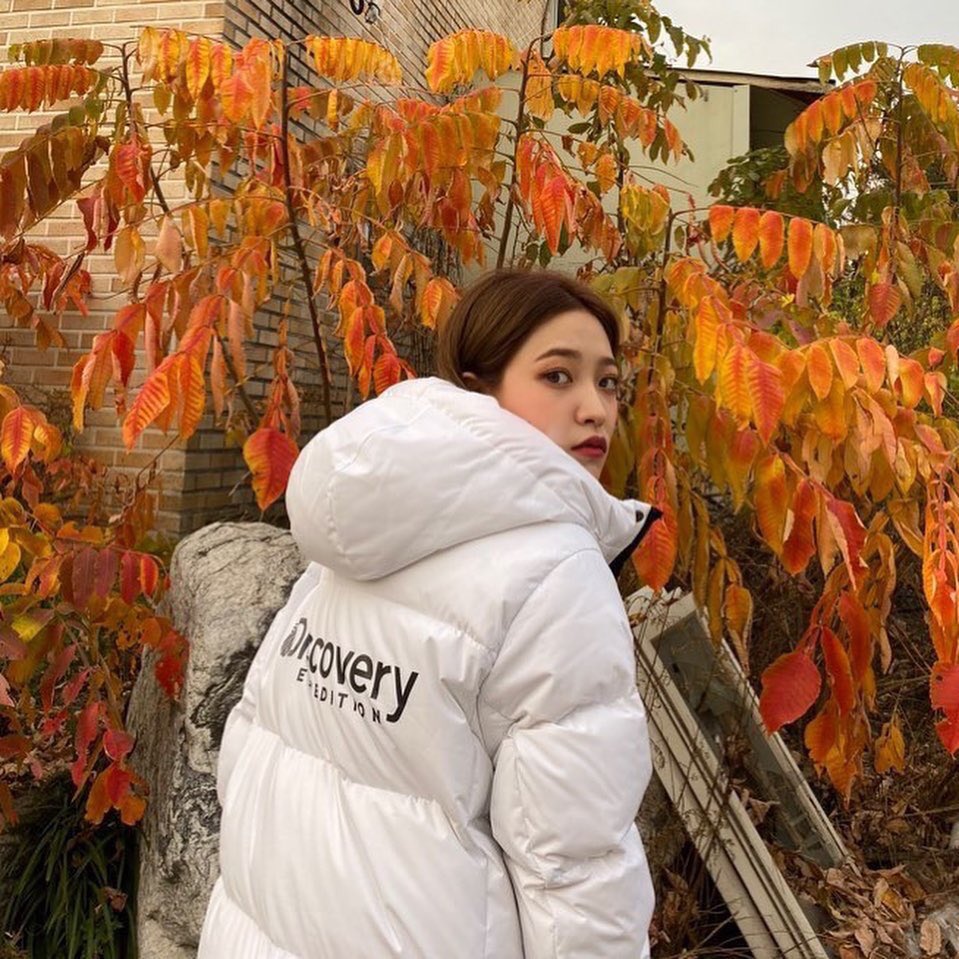 discovery 韓国 ダウンジャケット deaflink.com