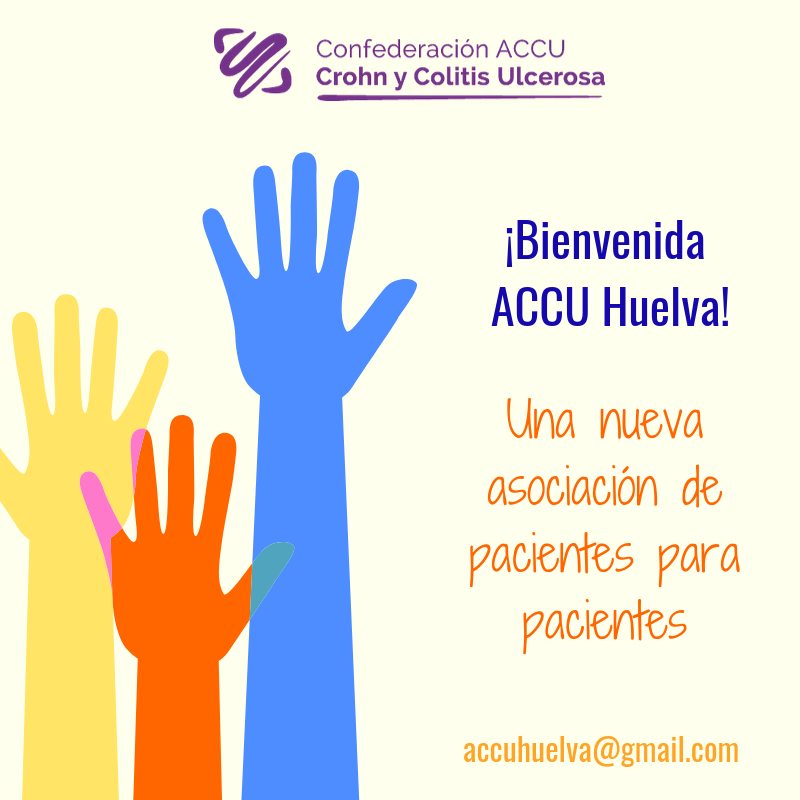 ACCU ESPAÑA tweet media