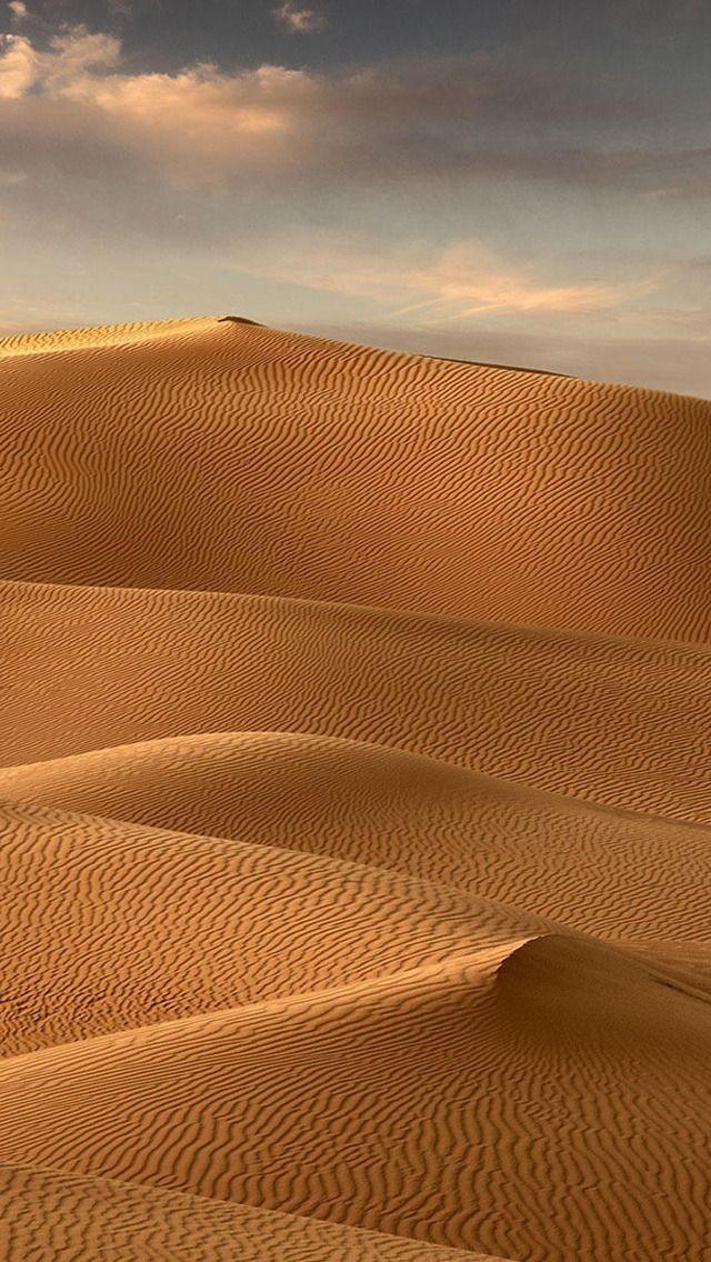 comansonbain's tweet image. Я в 3 часа ночи: *просыпаюсь*

У меня во рту: