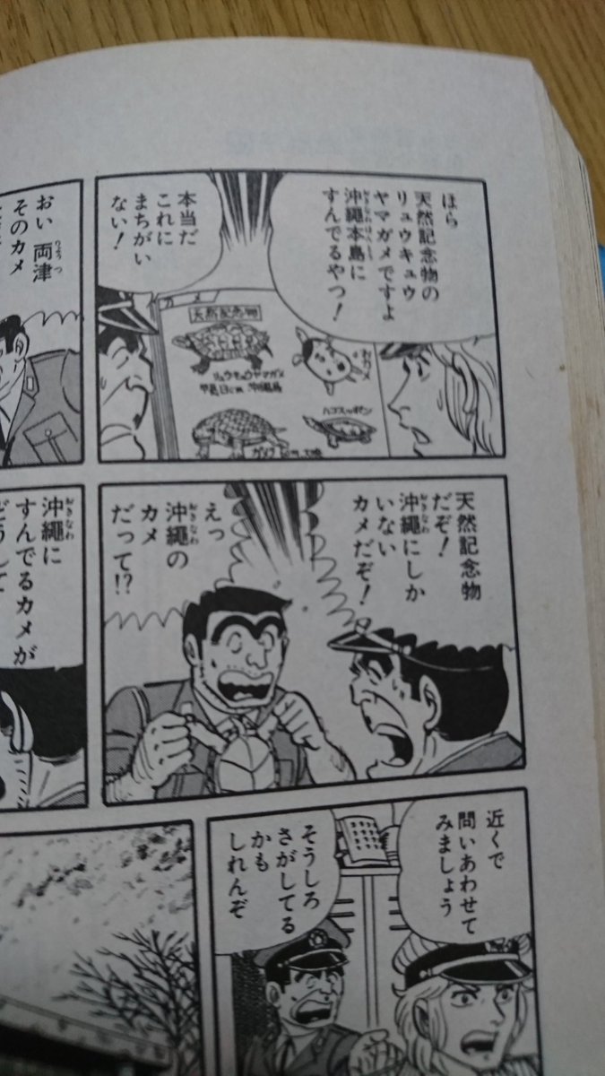 その3 あの日までの事と あの日の事 その後の事 そこから感じた希少種への想い 啓発