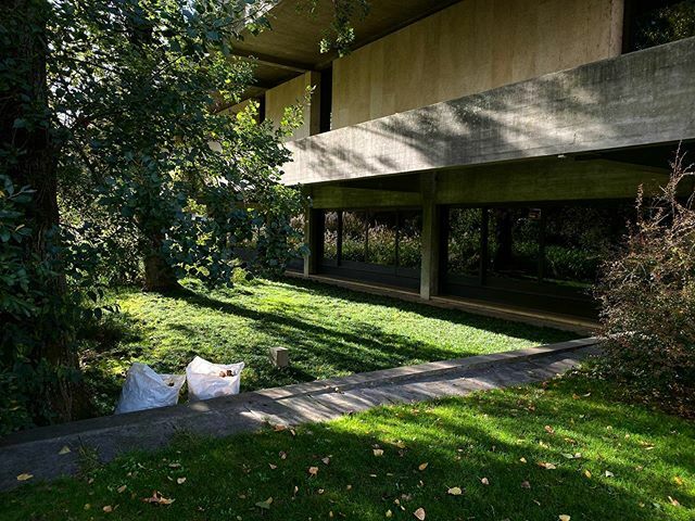 mwojtkiewicz's tweet photo. Lisbon’s #Serralves - #Gulbenkian https://t.co/87g5bgaTKt https://t.co/lOWu7YlQwP