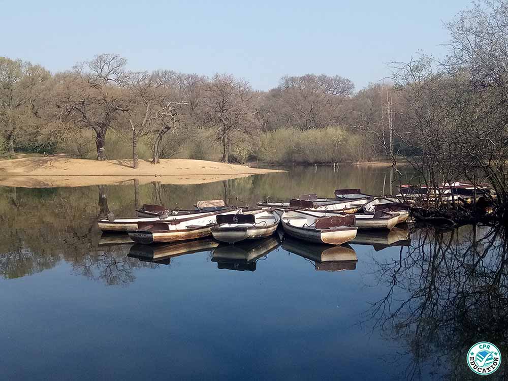 cpr_education's tweet photo. #eppingforest #london #autumnterm #learn #prospectuses #presentationFolders #quotes #print #cpr_education #printsolutions #school #pvcbanners #signage #learningresources #earlyyears  #secondary #sixthform https://t.co/Ht3unIi2G0
