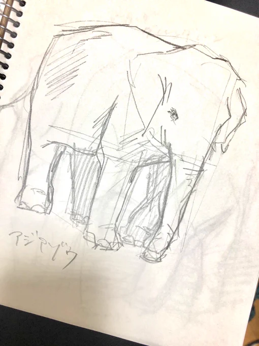 いっぱい描いてきた 